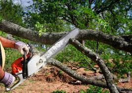 Best Stump Grinding and Removal  in Boalsburg, PA